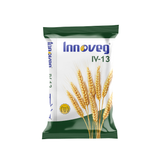 INNOVEG IV-13 Wheat Seed | High Yield Premium Wheat Variety for Farmers