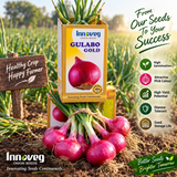Innoveg Gulabo Gold – Premium Onion Seeds | इनोवेज गुलाबों गोल्ड प्रीमियम प्याज बीज