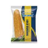 Innoveg 8181  – Single Cross Hybrid Maize