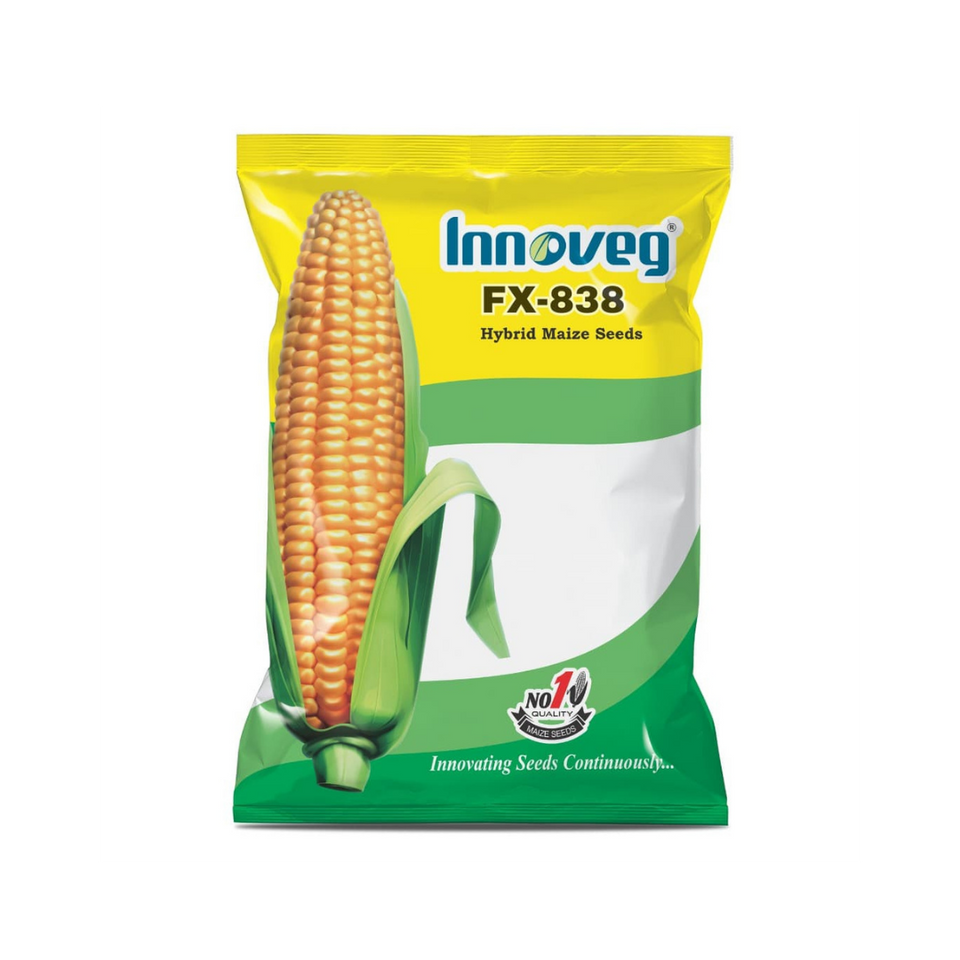 INNOVEG FX 838 – Single Cross Hybrid Maize