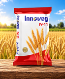 InnoVeg IV-11 गेहूं बीज | अधिक उत्पादन, मजबूत पौधे और चमकदार मोटे दाने