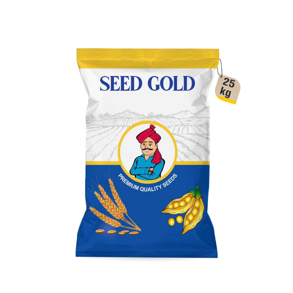 INNOVEG Seed Gold Soybean Seeds | उच्च उत्पादन वाली प्रीमियम सोयाबीन वैरायटी | मजबूत पौधा, अधिक फलियाँ और बेहतर दाना गुणवत्ता